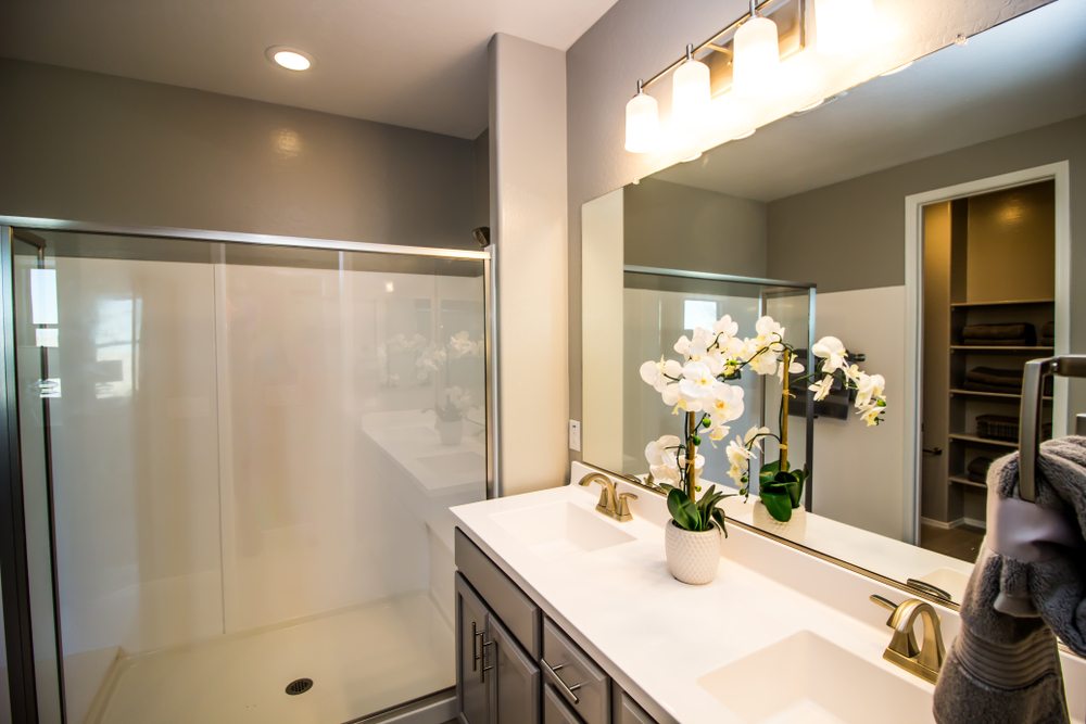 Shower glass doors