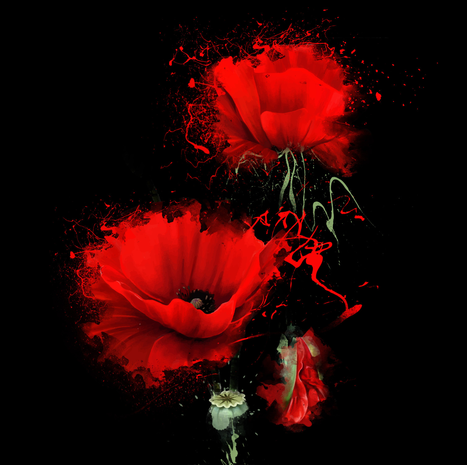 Red Flower Splashback Design